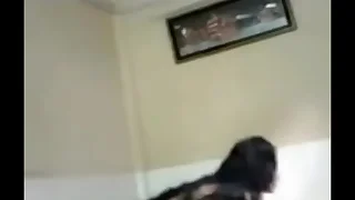 528 desi porn videos